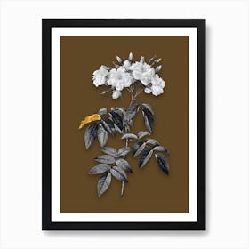 Vintage Musk Rose Black and White Gold Leaf Floral Art on Coffee Brown n.0769 Art Print