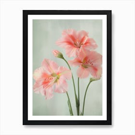 Amaryllis Flowers Acrylic Pastel Colours 2 Art Print