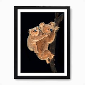 Koala With Baby Art Print