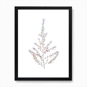 Stained Glass Sea Asparagus Mosaic Botanical Illustration on White Art Print