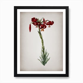 Vintage Lily Botanical on Parchment n.0418 Art Print