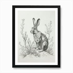 Silver Fox Rabbit Drawing 1 Art Print