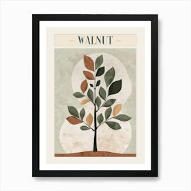 Walnut Tree Minimal Japandi Illustration 4 Poster Affiche