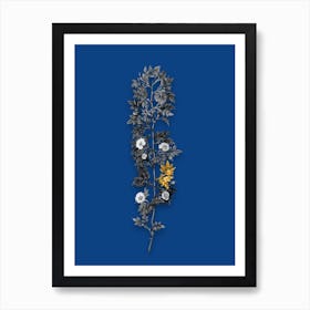 Vintage Cuspidate Rose Black and White Gold Leaf Floral Art on Midnight Blue n.0294 Art Print