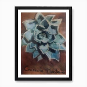 Crassula Montana  Art Print