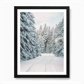 Snowmobile Trail Through Forest Art Print