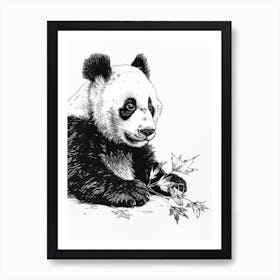 Giant Panda Cub Playing With A Fallen Leaf Ink Illustration 3 Art Print