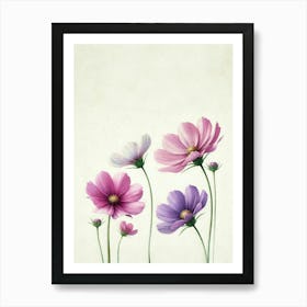 Cosmos Flowers Art Print