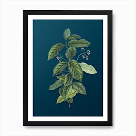 Vintage Broadleaf Spindle Botanical Art on Teal Blue n.0013 Art Print