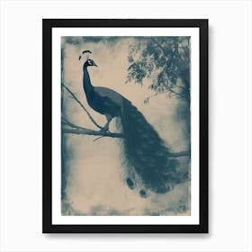 Vintage Blue Tones Peacock Photograph Inspired 4 Art Print