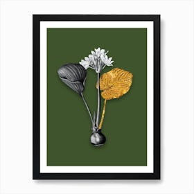 Vintage Cardwell Lily Black and White Gold Leaf Floral Art on Olive Green n.1171 Art Print
