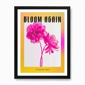 Hot Pink Everlasting Flower 2 Poster Art Print