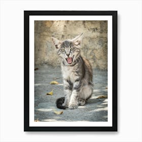 Little Greek Kitten 2 of 3 // Cat - Animal Photography Art Print