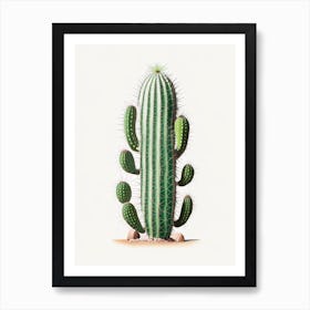 Trichocereus Cactus Marker Art 2 Art Print