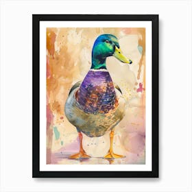 Mallard Duck Colourful Watercolour 2 Póster