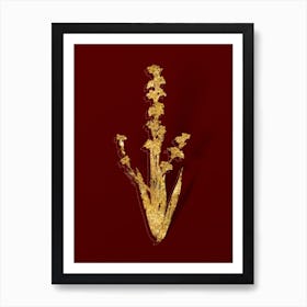Vintage Pale Yellow Eyed Grass Botanical in Gold on Red n.0425 Art Print