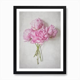 Pink Peonies Bouquet  Art Print