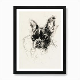 Boston Terrier Dog Charcoal Line 3 Art Print