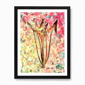 Impressionist Arrowhead Botanical Painting in Blush Pink and Gold Art Print