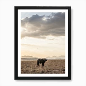 Afircan Buffalo Art Print