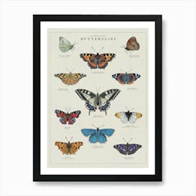 Butterflies Art Print Art Print