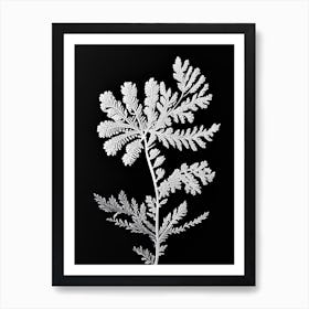 Yarrow Leaf Linocut 3 Art Print