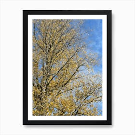 Autumn Tree — Stock Photo Art Print