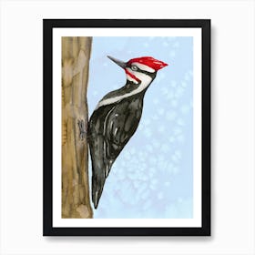 Pileated woodpecker watercolor Art Print