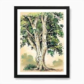 Beech Tree Storybook Illustration 4 Art Print