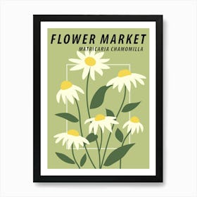 Flower market Chamomile Daisy, Green floral art print Art Print