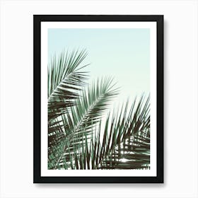 Palm Leaves_2103210 Art Print