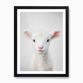 Lamb  Art Print