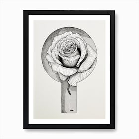 English Rose Key Line Drawing 3 Art Print