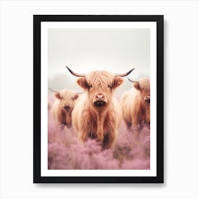 Warm Tones And Realistic Photography Of Highland Cows Art Print