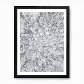 Snowy Forests Art Print