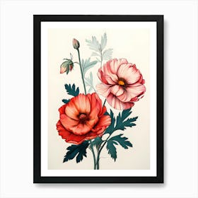 Two Red Poppies Art Print