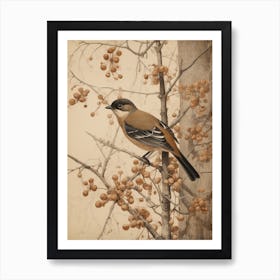 Dark And Moody Botanical Robin 3 Art Print