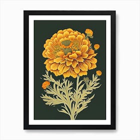 Desert Marigold Wildflower Vintage Botanical 1 Art Print