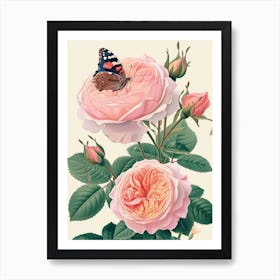 English Roses Painting Rose With Butterfly 1 Art Print