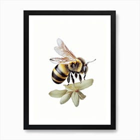 Solitary Bee 1 Vintage Art Print