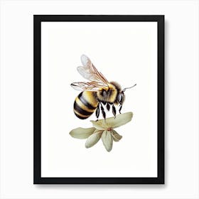 Solitary Bee 1 Vintage Poster