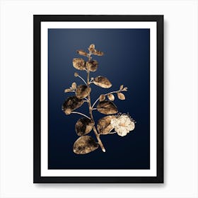 Gold Botanical Caper Plant on Midnight Navy n.3248 Art Print