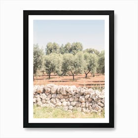 Puglia, Italy I Fields of olive trees in the italian countryside boho nature in the Mediterranean with a retro vintage photography green pastel summer aesthetic taken with an analog film camera like in Tuscany Art Print