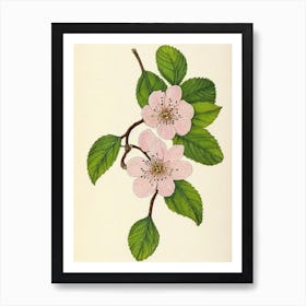 Cherry Blossom Vintage Botanical Flower Art Print