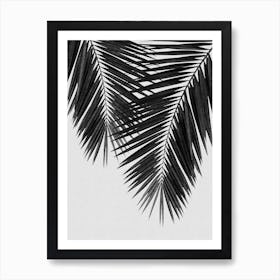 Palm Leaf Black & White II Art Print