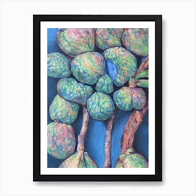 Custard Apple Classic Fruit Art Print