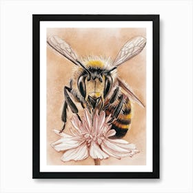 Bee On Flower Art Print