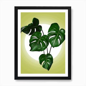 Monstera Art Print