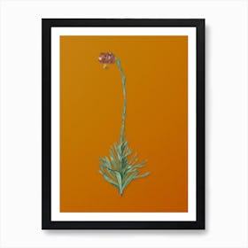 Vintage Scarlet Martagon Lily Botanical on Sunset Orange n.0686 Art Print