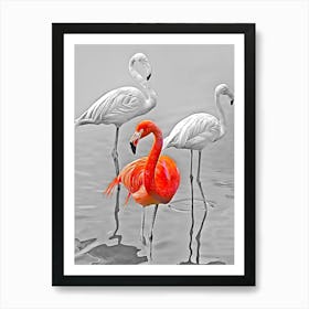 Flamingos 2 Art Print